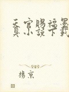 天官赐福墨香铜臭小说下载封面