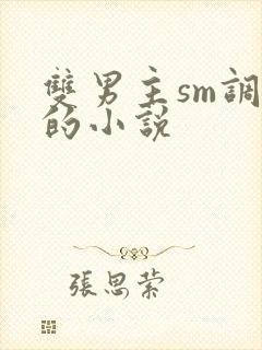 双男主sm调教的小说