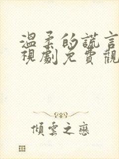 温柔的谎言 电视剧免费观看