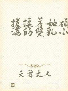 搓揉着她硕大丰满的双乳小说