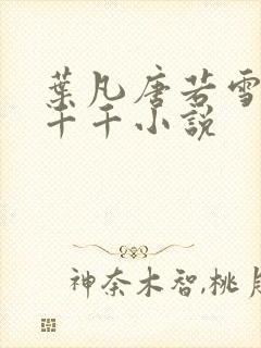 叶凡唐若雪医婿千千小说