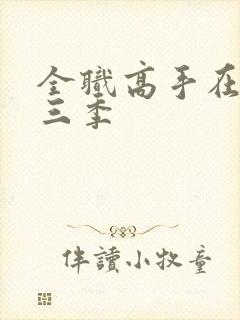 全职高手在线第三季