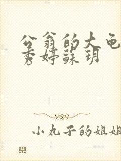 公翁的大龟挺进秀婷苏玥封面