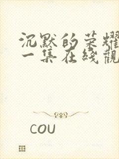 沉默的荣耀最后一集在线观看