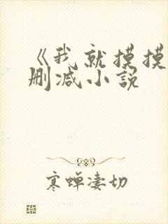 《我就摸摸》无删减小说