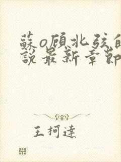 苏o顾北弦的小说最新章节