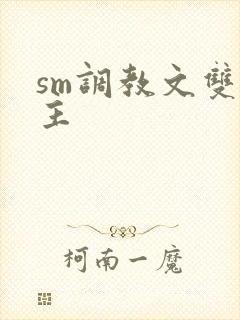 sm调教文双男主封面