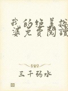 我的绝美总裁老婆免费阅读全