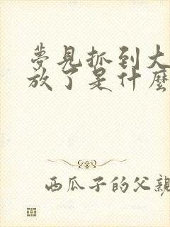 梦见抓到大鱼又放了是什么征兆