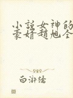 小说女神的上门豪婿赵旭全文阅读