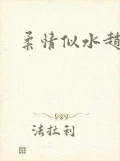 柔情似水赵雅儿