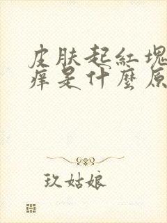 皮肤起红块水泡痒是什么原因