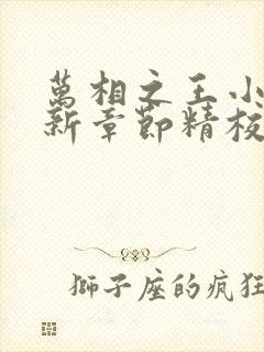 万相之王小说最新章节精校版封面