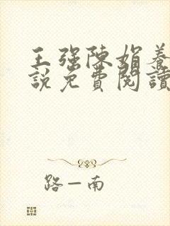 王强陈娟养父小说免费阅读