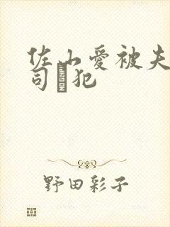 佐山爱被夫の上司に犯