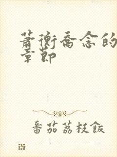 萧衡乔念的最新章节