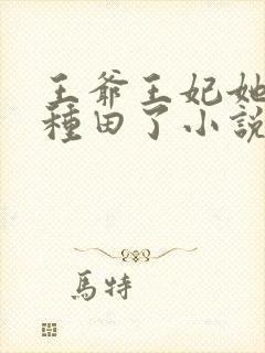 王爷王妃她又去种田了小说免费全文阅读一