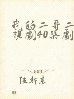 我的二哥二嫂电视剧40集剧情介绍