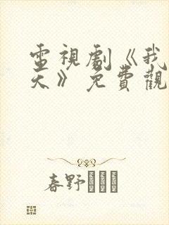 电视剧《我的夏天》免费观看封面