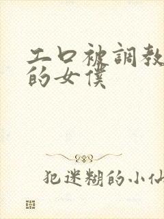 工口被调教开发的女仆