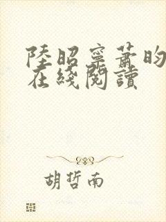 陆昭宁萧昀小说在线阅读