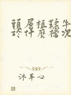 头层植鞣牛皮属于什么档次