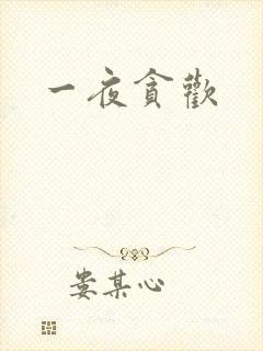 一夜贪欢