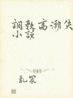 调教高潮失禁h小说