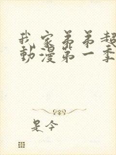 我家弟弟超级棒动漫第一季免费观看