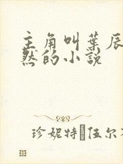 主角叫叶辰萧初然的小说