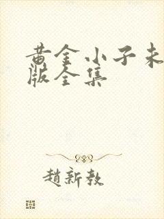 黄金小子未删减版全集