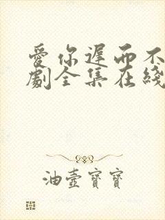 爱你迟而不晚短剧全集在线观看免费封面