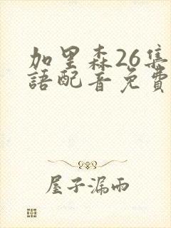 加里森26集国语配音免费观看