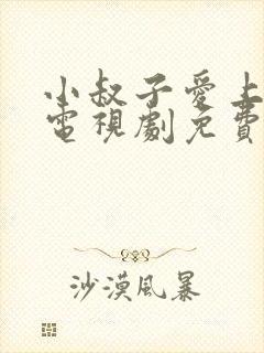 小叔子爱上嫂子电视剧免费观看完整