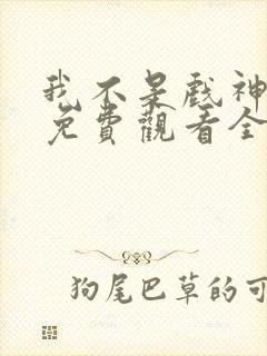 我不是戏神动漫免费观看全集