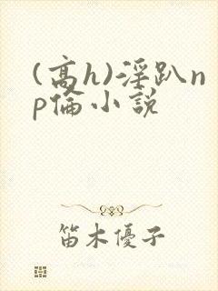 (高h)淫趴np伦小说封面