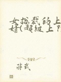 女总裁的上门女婿(超级上门女婿)