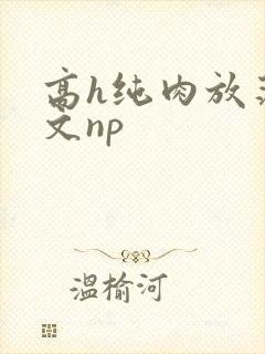 高h纯肉放荡h文np封面