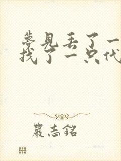 梦见丢了一只鞋找了一只代替