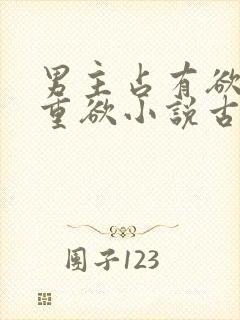 男主占有欲强且重欲小说古言封面