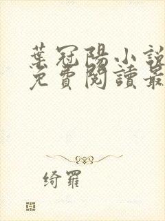 叶冠阳小说全文免费阅读最新章节