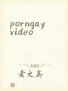 porngayvideo封面