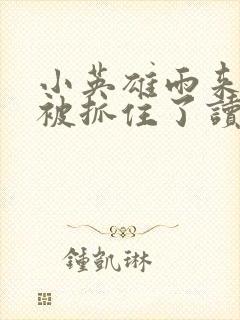 小英雄雨来雨来被抓住了读后感