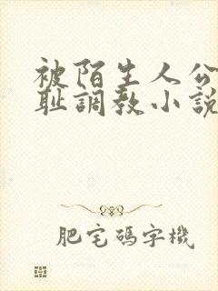 被陌生人公开羞耻调教小说