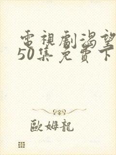 电视剧渴望1—50集免费下载观看