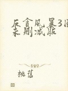 反贪风暴3国语未删减版