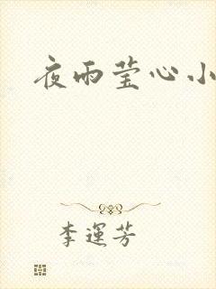夜雨莹心小说