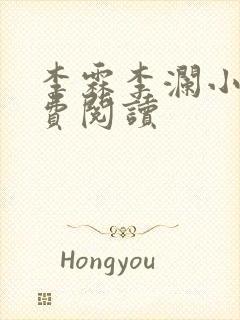 李霖李澜小说免费阅读