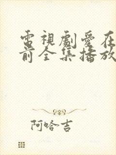 电视剧爱在日落前全集播放