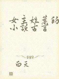 女主姓叶的穿越小说古言